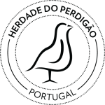 cropped-image_2025-01-07_162023272.png